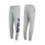 Calça Masculina Fila Moletinho Cinza