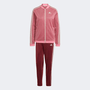 Conjunto Feminino Adidas Stripes Rosa e Bordô
